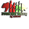 PremMCX Logo